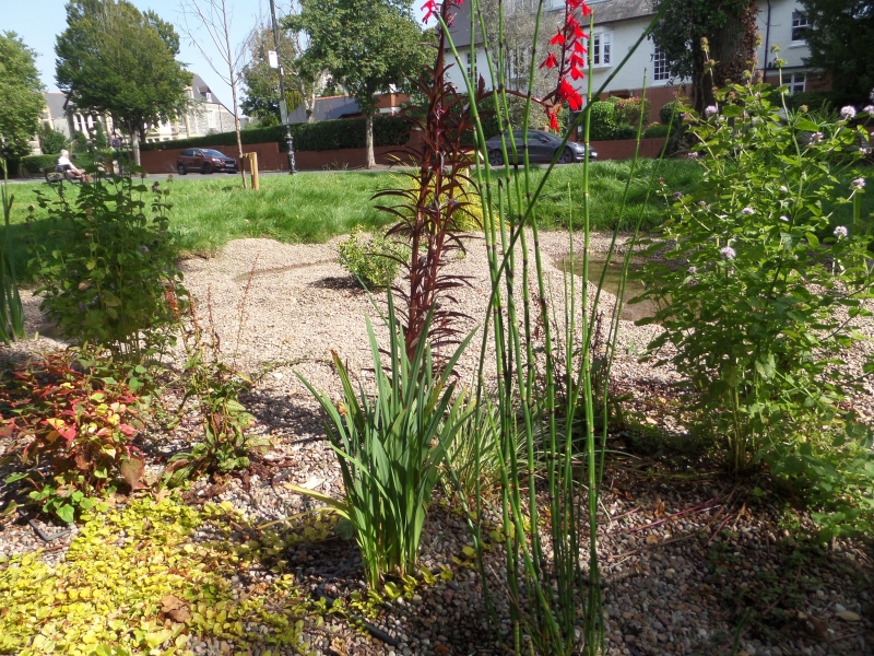 Victoria Square Community Garden